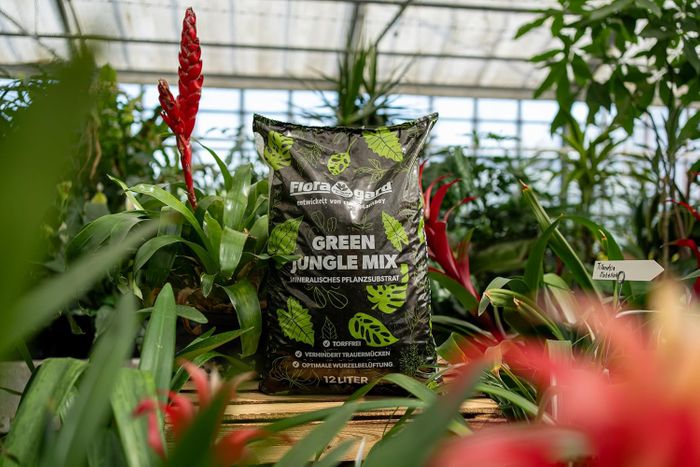 Floragard Green Jungle Mix