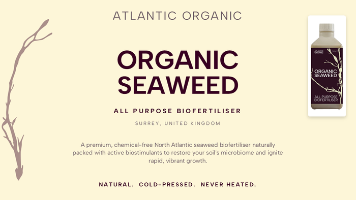 Organic Seaweed - biofertiliser