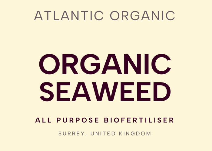 Organic Seaweed - biofertiliser