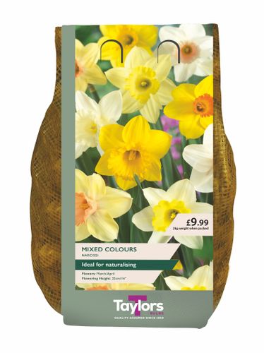 Taylors 2KG Daffodil Carripack Range