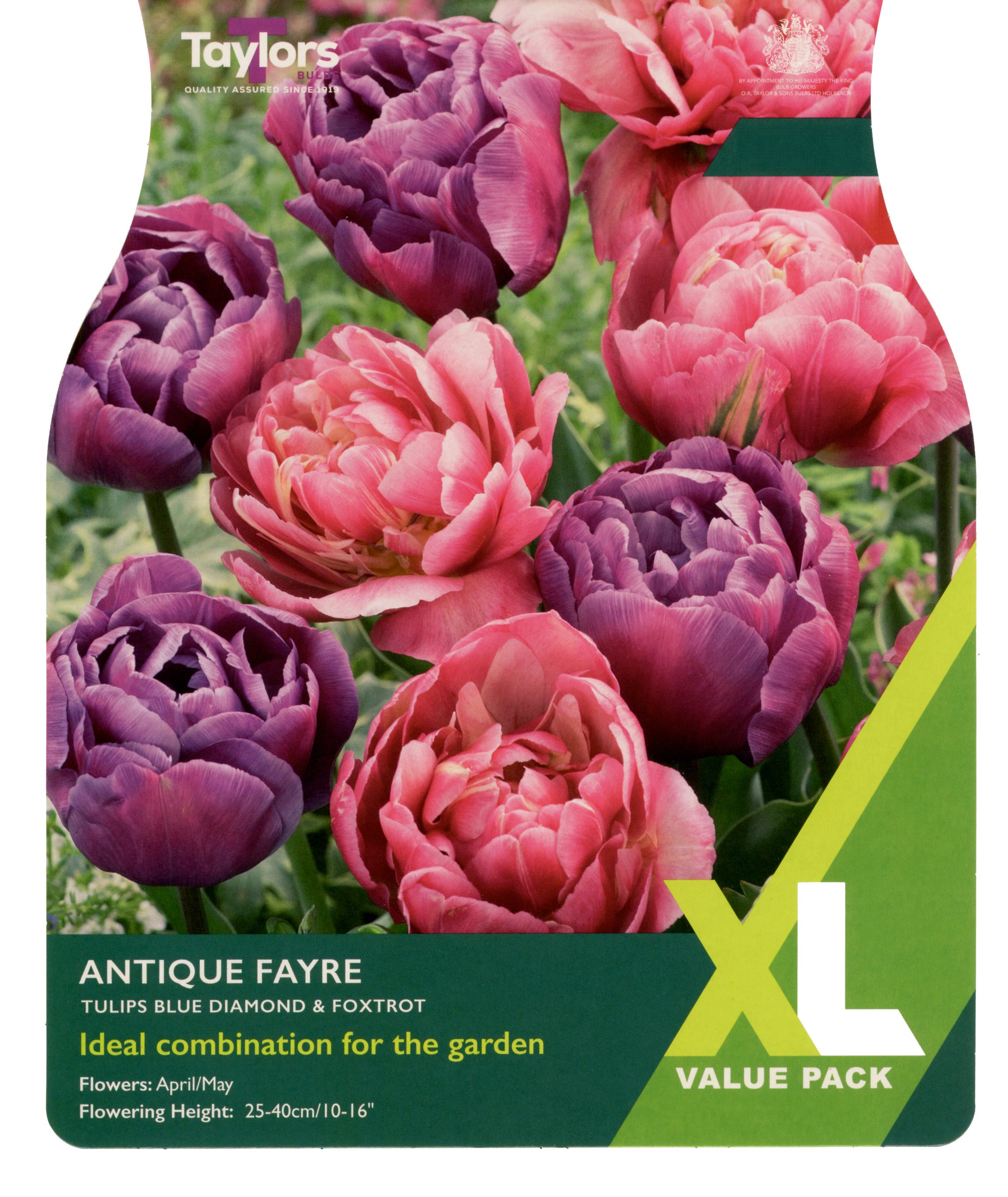 Taylors XL Value Range