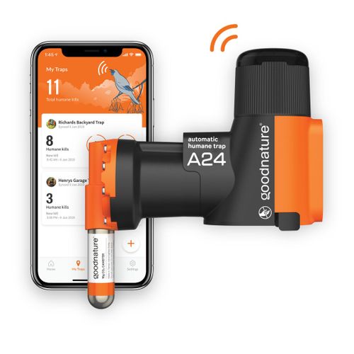 Goodnature A24 Smart Trap
