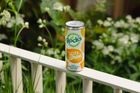 Rocks Zesty Lemon Sparkling Can 330ml