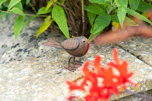 Garden Ornamental