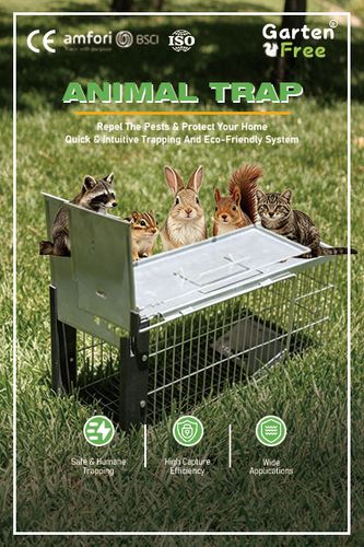 Animal Trap