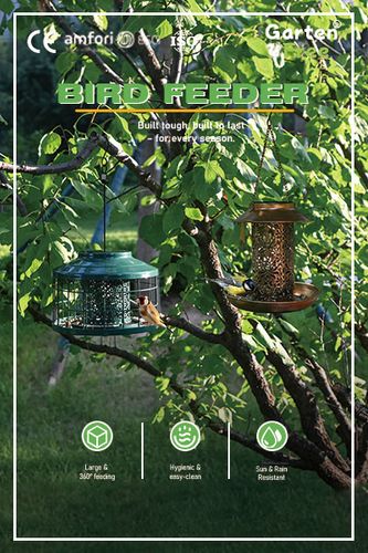 Bird Feeder
