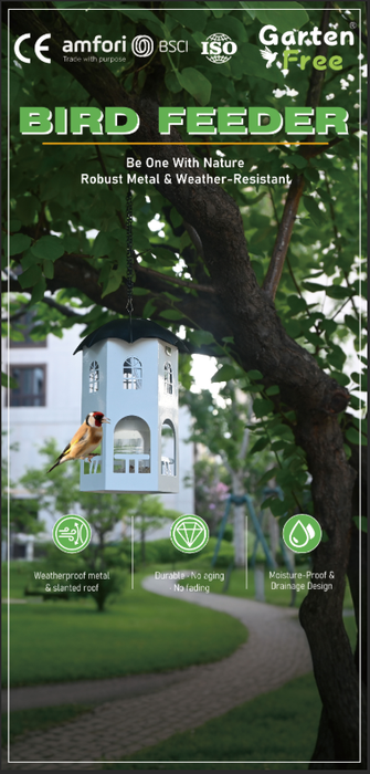 Bird Feeder