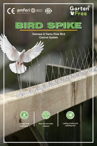 Bird Spike