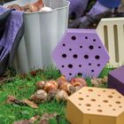 Bee & Butterfly House with bulbs