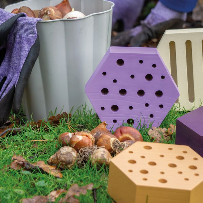 Bee & Butterfly House with bulbs