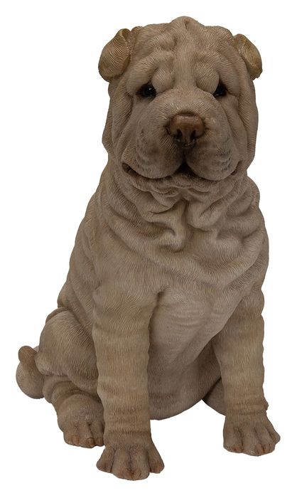 New Real Life Dogs (and much, much more......)