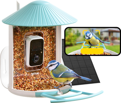 Birdfy Feeder