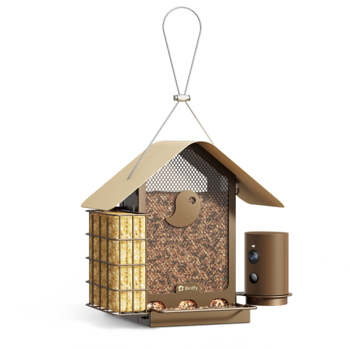 Birdfy Feeder Metal V