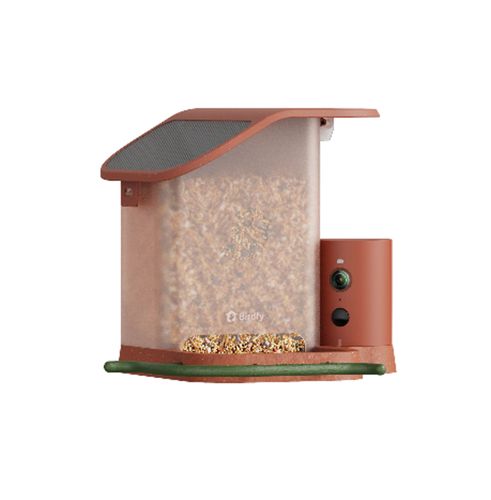 Birdfy Feeder Terra