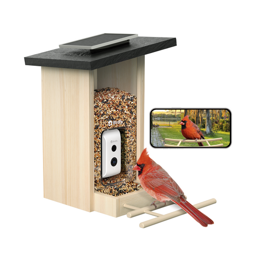 Birdfy Feeder Ebony
