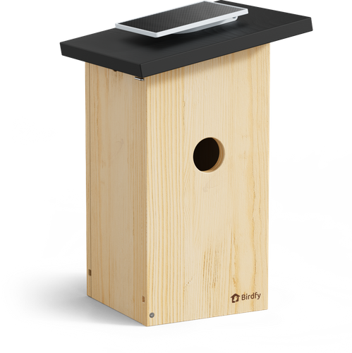 Birdfy Nest Ebony