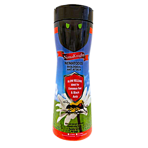 NemaKnights Ant Attack