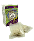 Fungus Gnat Control Nematodes