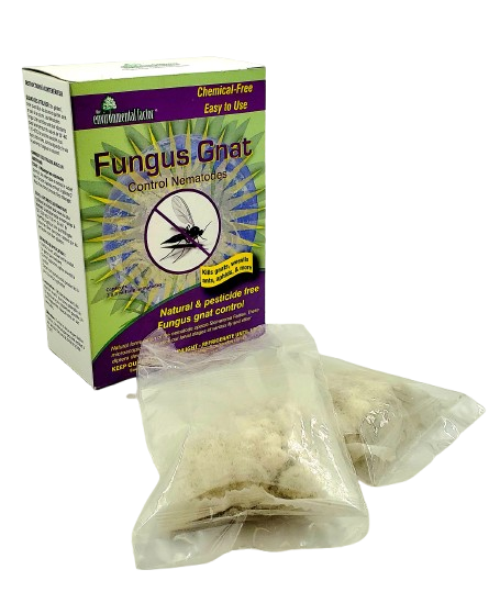 Fungus Gnat Control Nematodes