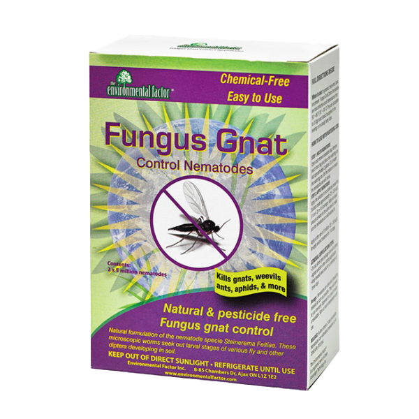 Fungus Gnat Control Nematodes