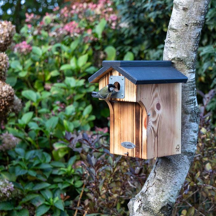 Protector Collection