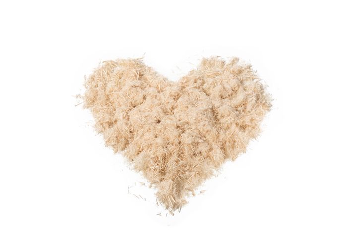 Wood fibre