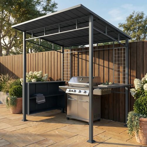 Ascent BBQ Shelter