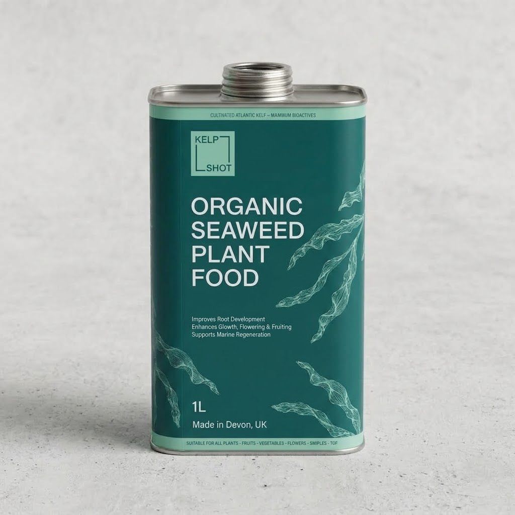 Kelp Shot 1L - Organic Seaweed Plant Feed