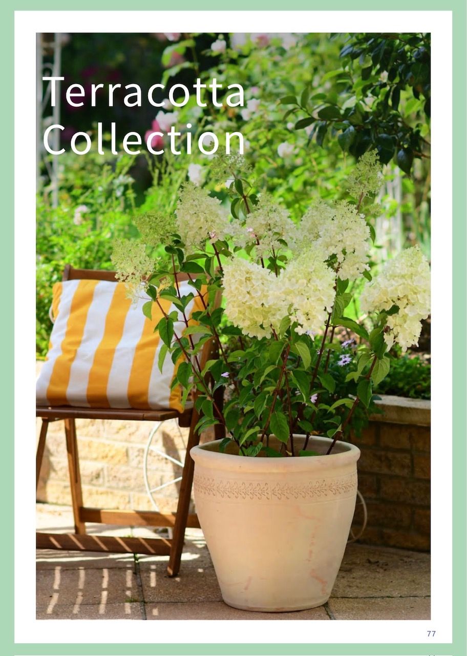 Terracotta Collection