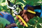 ExtraHelp from Burgon & Ball: a helping hand for every gardener