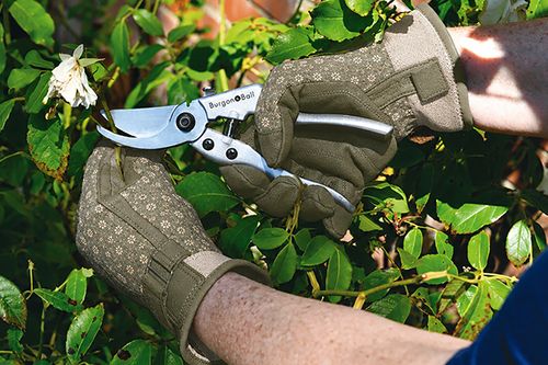 Gloves get serious: new task-focused glove range from Burgon & Ball