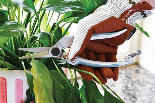 New look, new lines: a refresh for Burgon & Ball & Ball indoor gardening tools