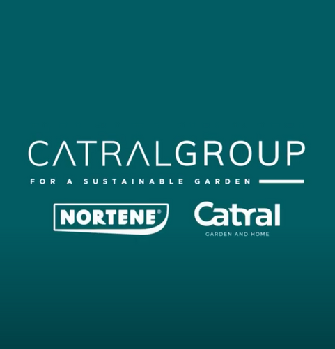 Discover Catral Group