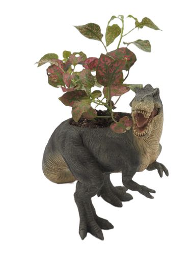 2024 Jardinopia - Dinoplanters