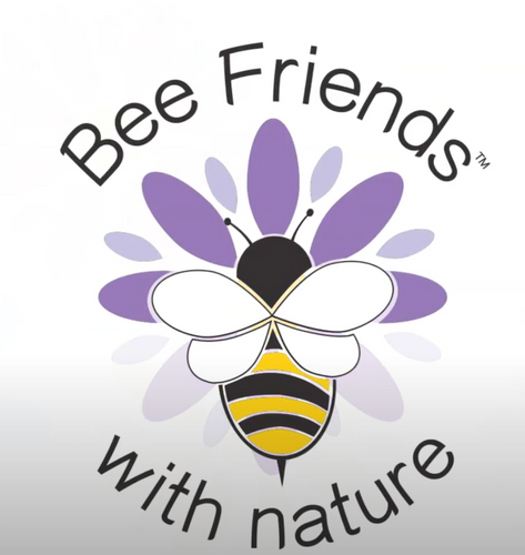 Bee Friends® Seed Bombs