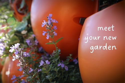 Meet Your New Garden
