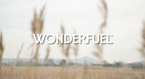 Introducing Wonderfuel