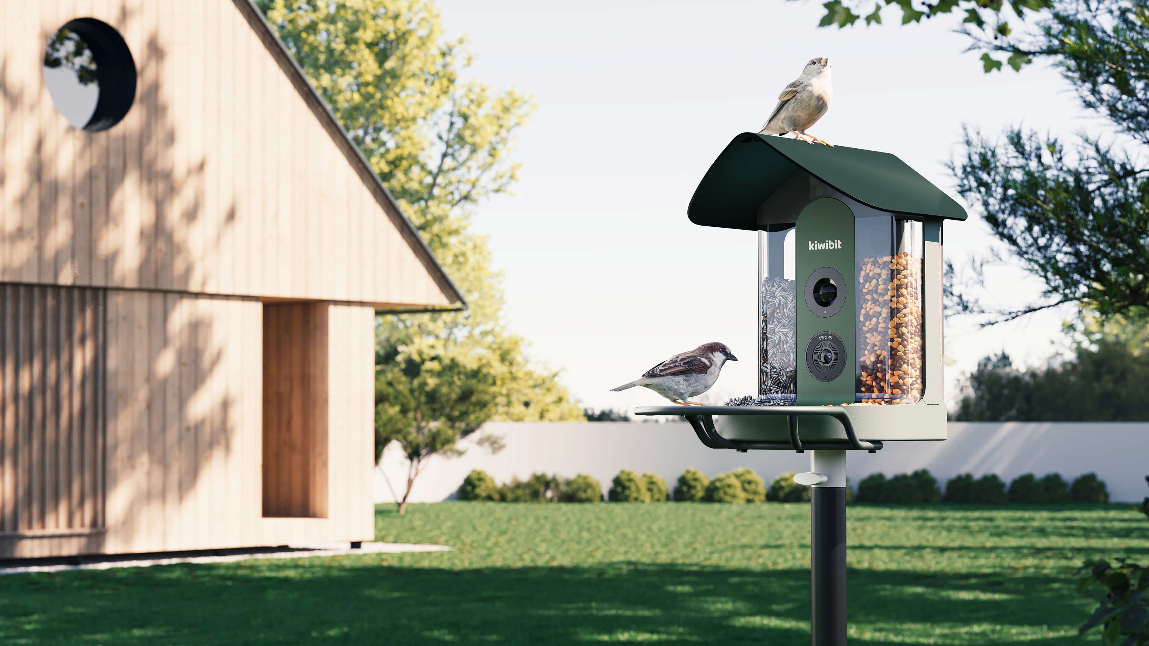 4k smart bird feeder