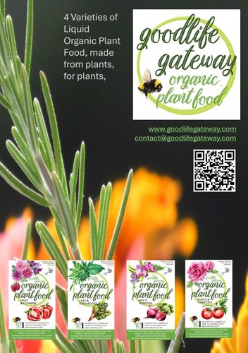 Brand Advert