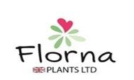 Florna Plants Ltd