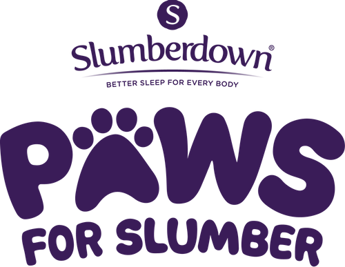 Paws for Slumber