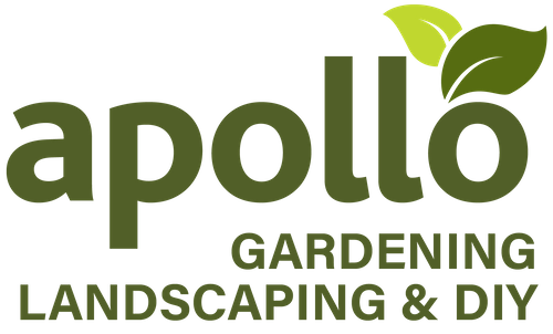 Apollo