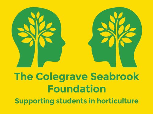 Colegrave Seabrook Foundation