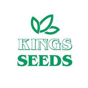 Kings Seeds