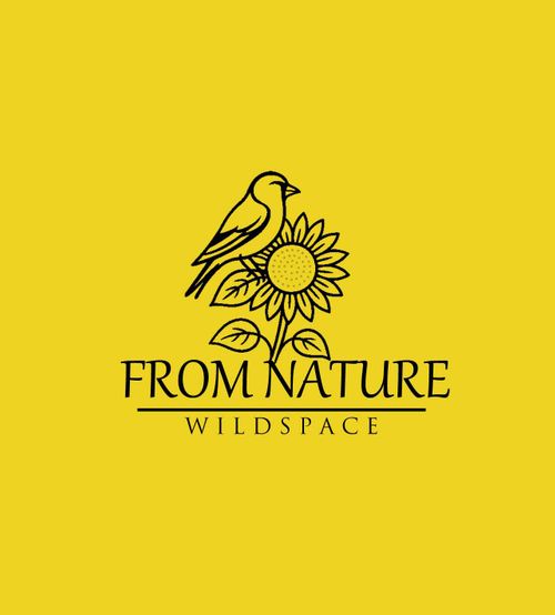 Wild Space Group Ltd