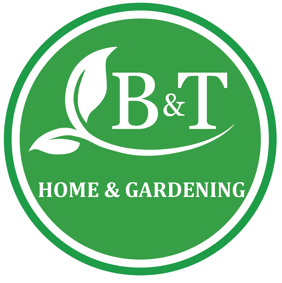 B&T(SHANGHAI) INTERNATIONAL LTD