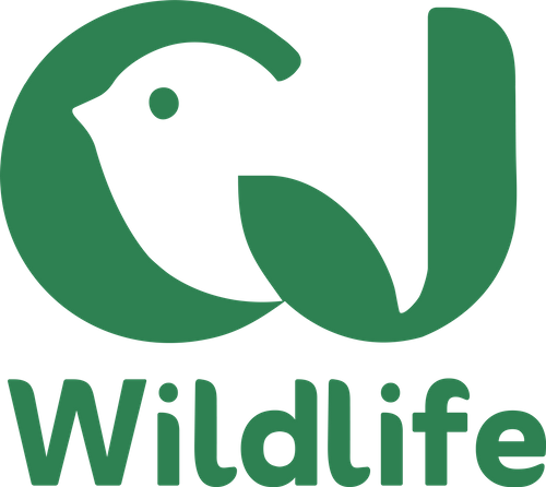CJ Wildlife
