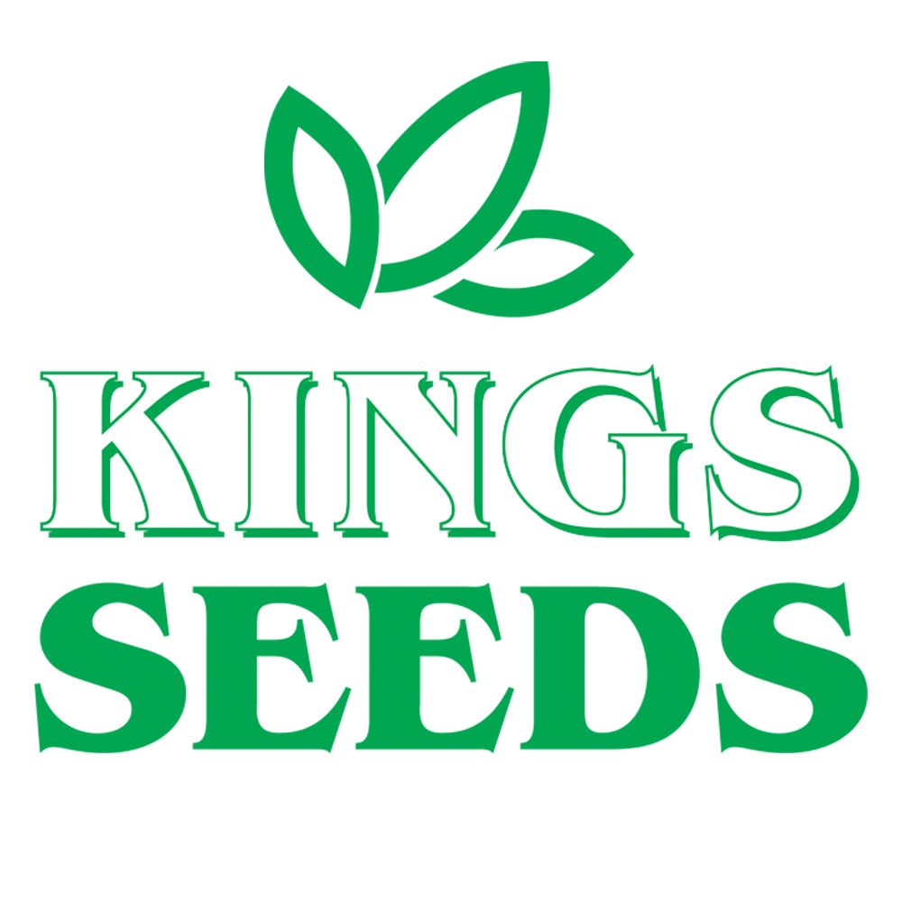 Kings Seeds