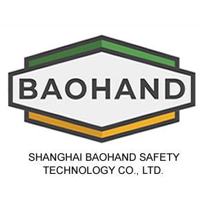 SHANGHAI BAOHAND SAFETY TECHNOLOGY CO., LTD.?