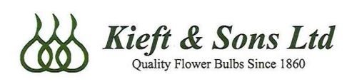 Kieft and Sons Ltd